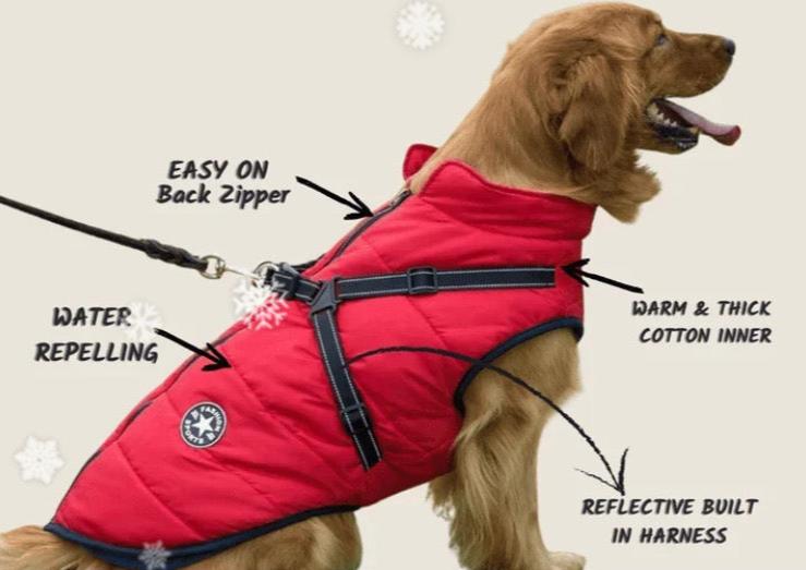 Harness Pet Coat