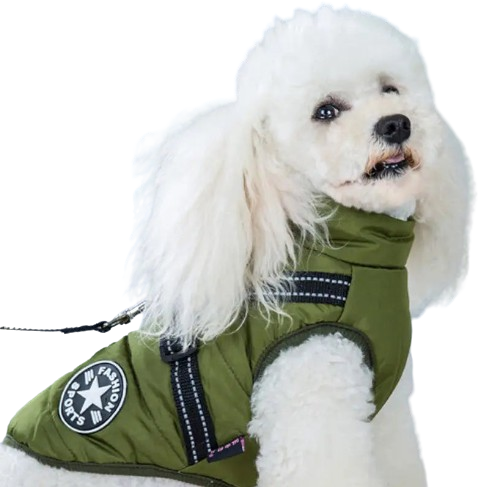 Harness Pet Coat
