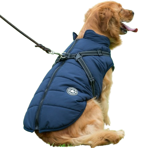 Harness Pet Coat