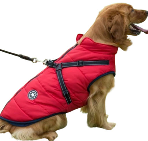 Harness Pet Coat