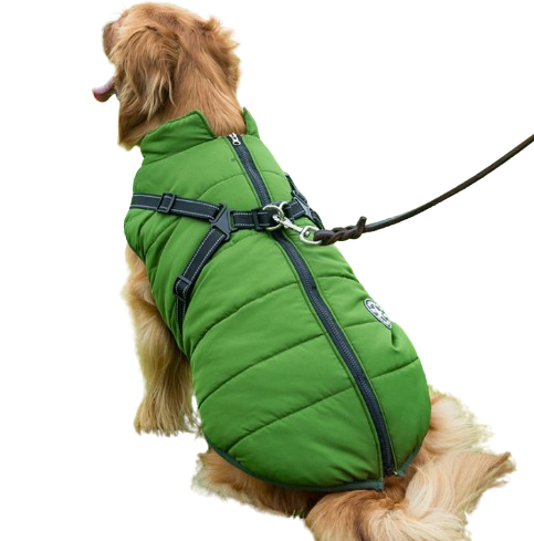 Harness Pet Coat