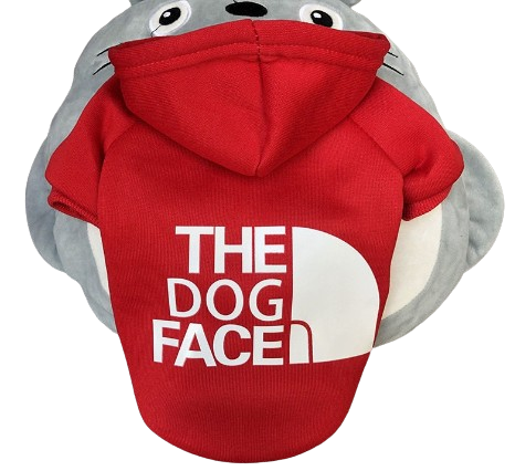 Fashion Hoodie