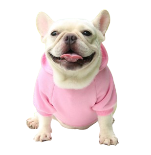 Fashion Hoodie