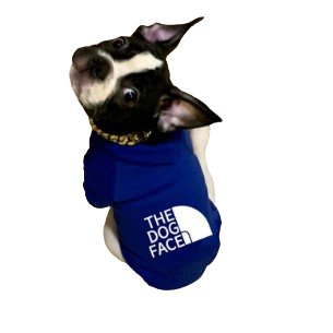 Fashion Hoodie
