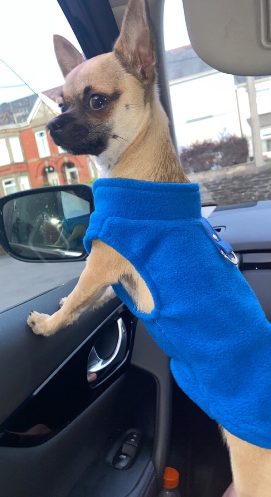 Fleece Pullover with D-Ring
