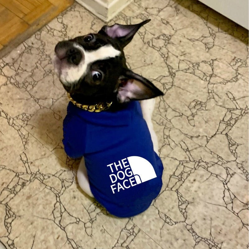 Fashionable pet hoodie | Brubonchi Pet Clothing