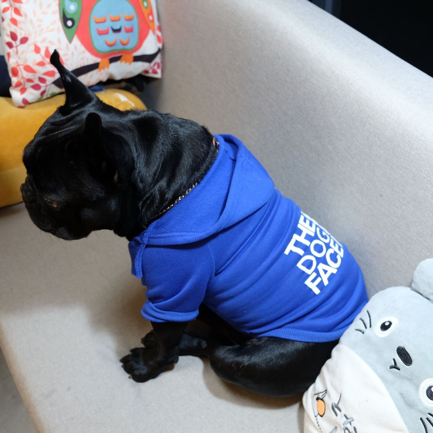 Fashionable pet hoodie | Brubonchi Pet Clothing