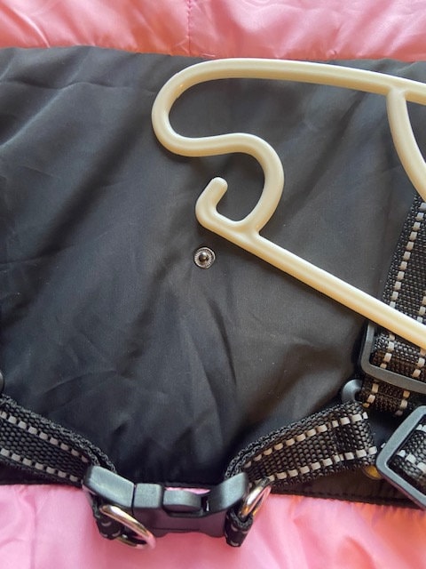 Luxury Dog Coat with attached Harness