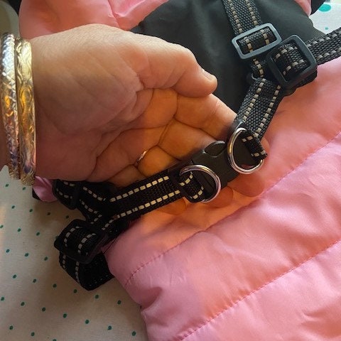 Luxury Dog Coat with attached Harness