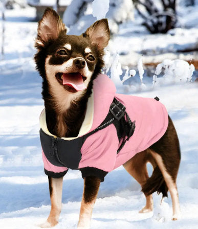 Luxury Dog Coat with attached Harness