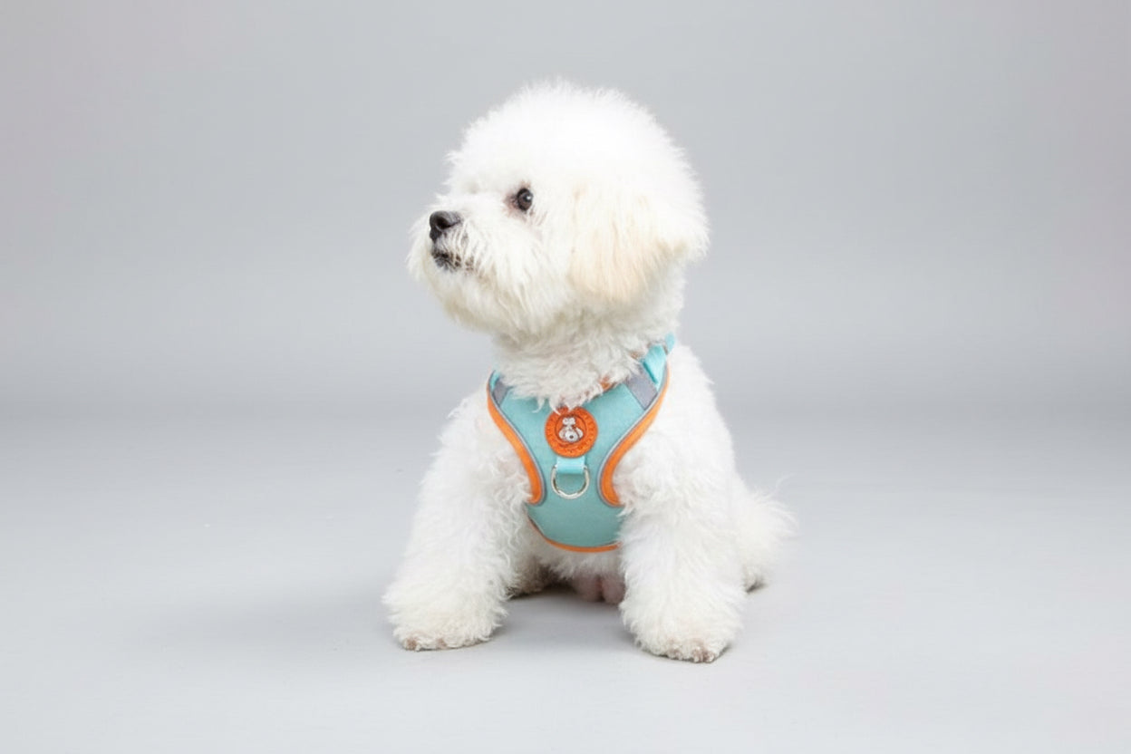 Adjustable Dog Harness for Small to Medium Dogs & Cats