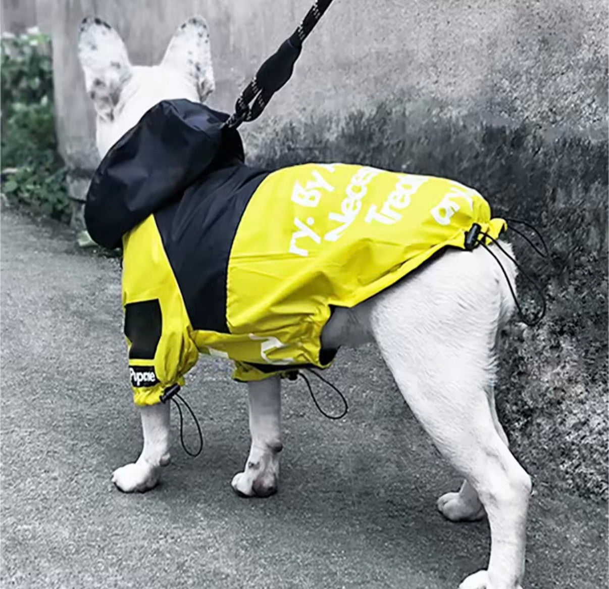 Pet Dog Face Waterproof Coat