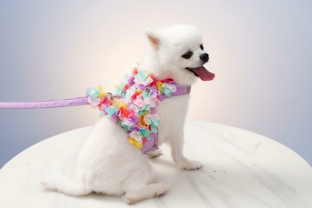 3D Flower Pet Harness and Lead Set - Eye-Catching Design