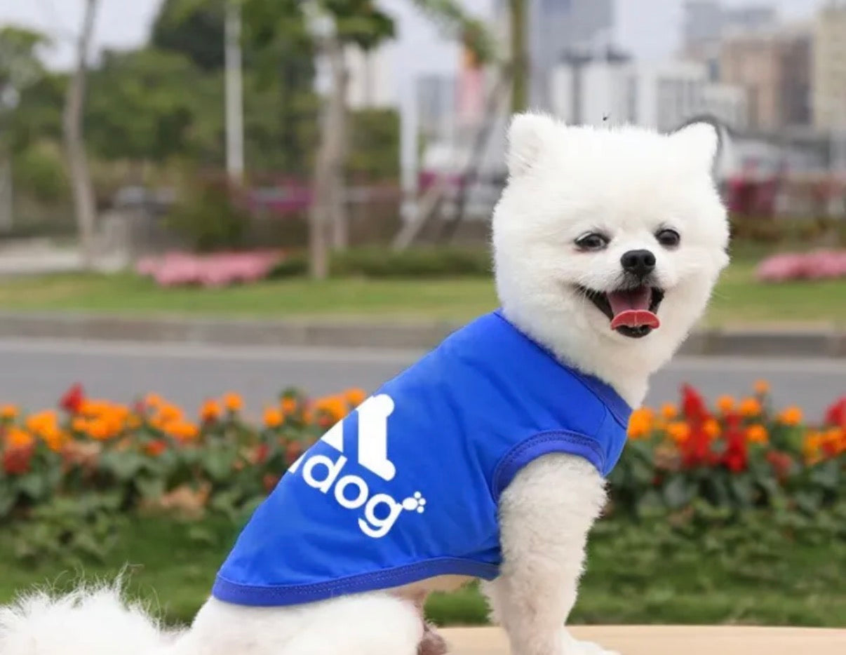 Sporty Fashion Pet Vest