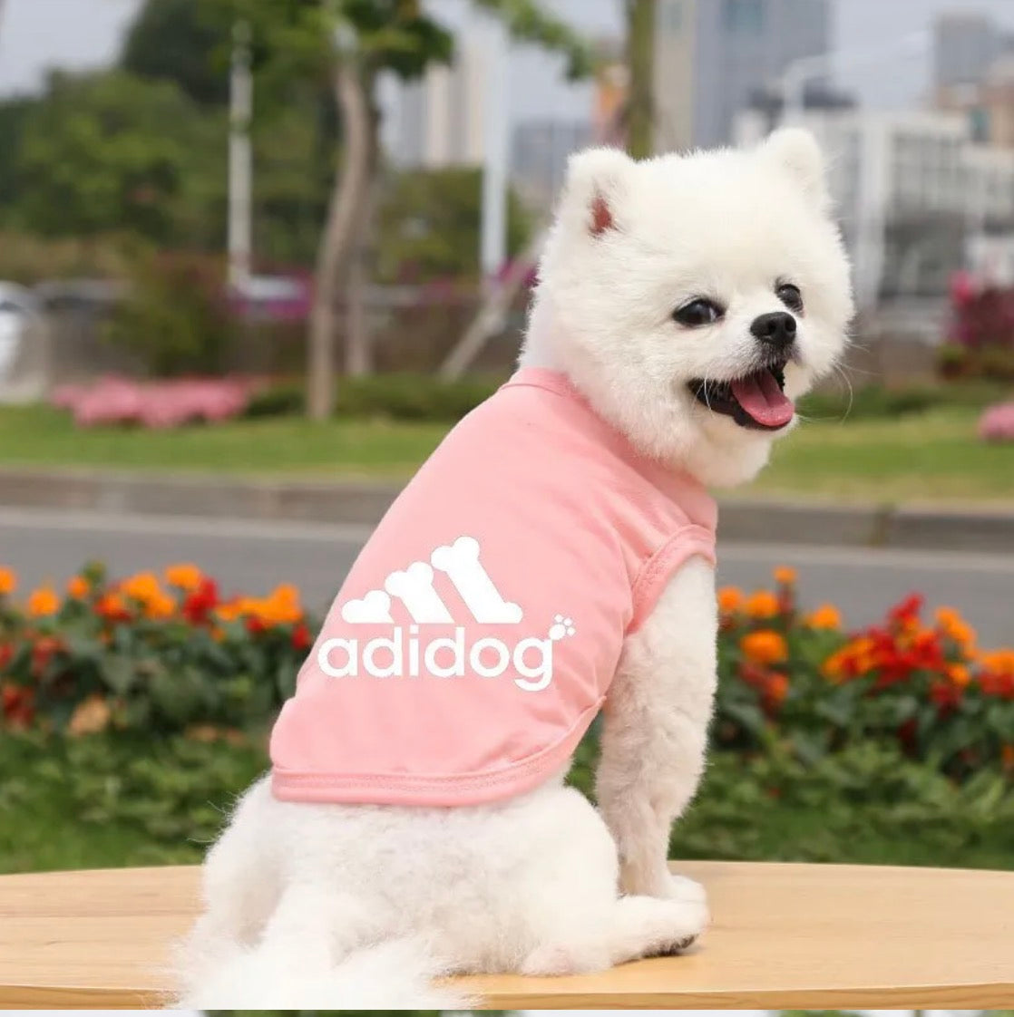 Sporty Fashion Pet Vest
