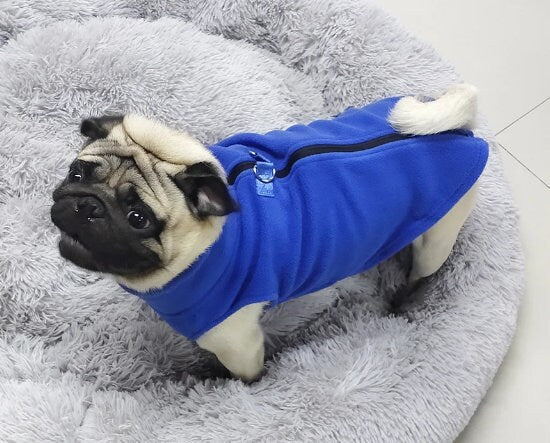 Fleece Pet Jacket | Brubonchi Pet Clothing & Accessories