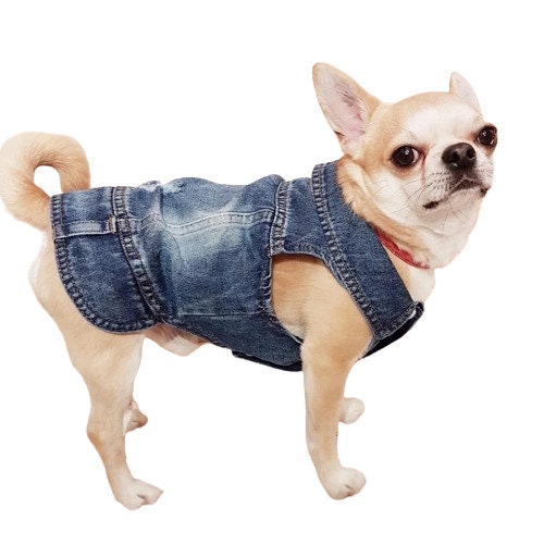 Dog Jacket, Denim Waistcoat with d-ring | Brubonchi Pet Clothing